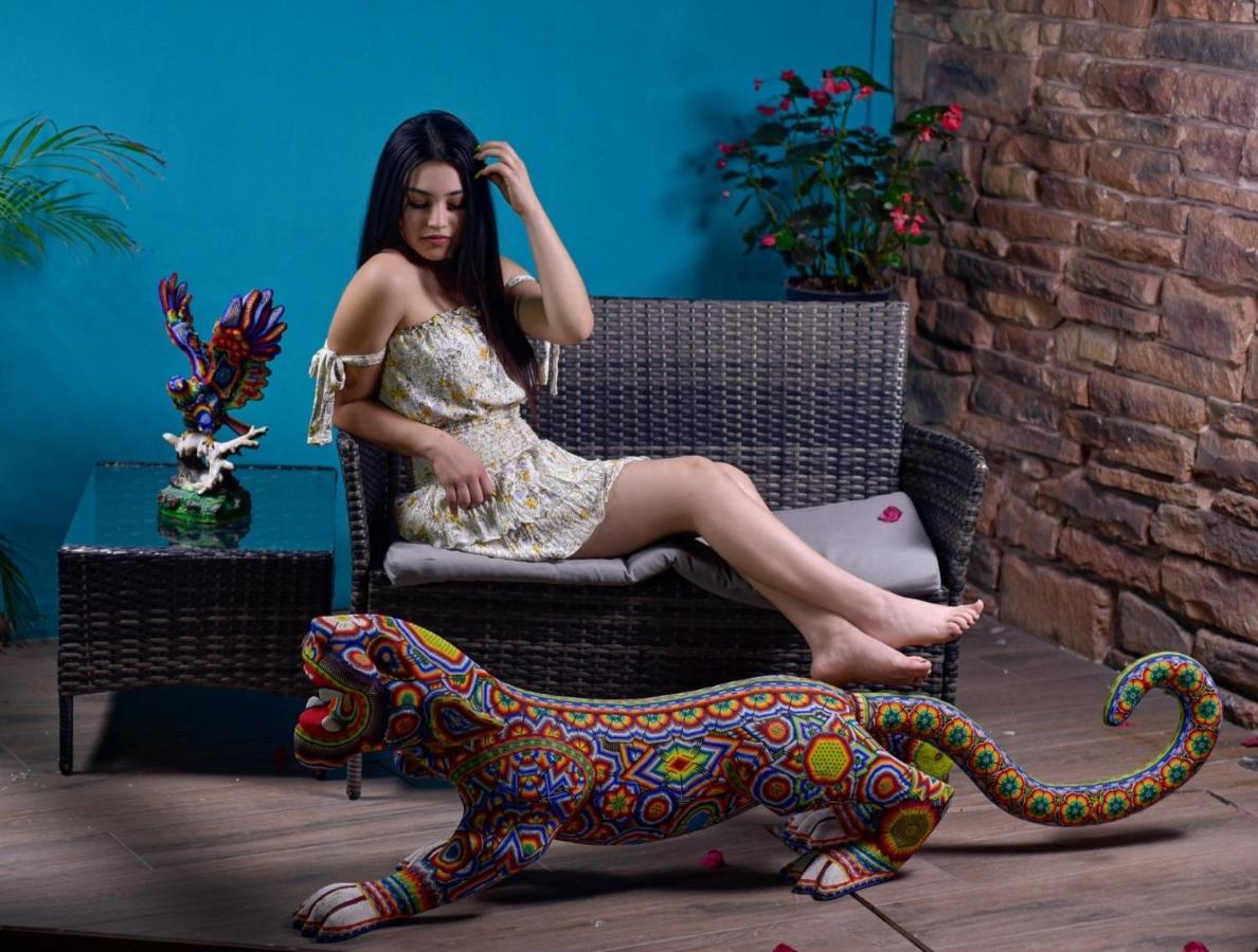 Hotel Boutique Casa Mariano Tepic Luaran gambar